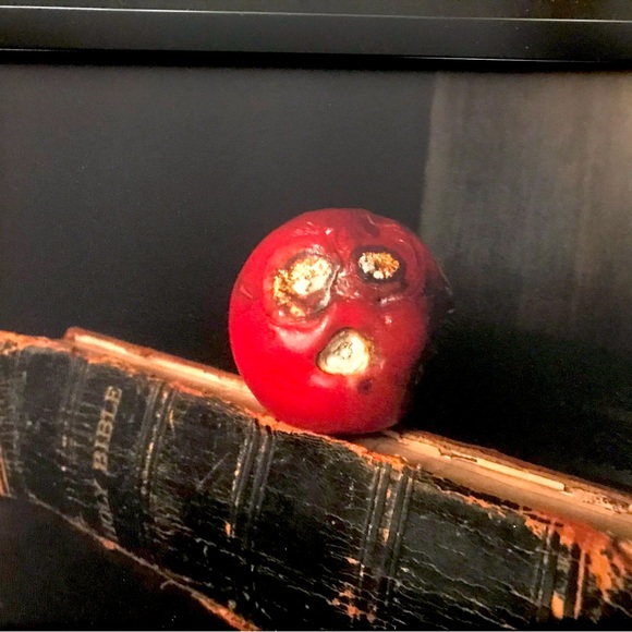 Framed Photograph titled: Zombie Tomato, by artist- guillermo diaz. Signed! - Picture 3 of 4